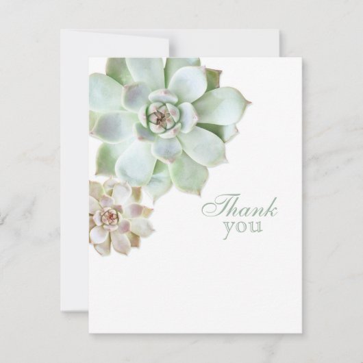 Eleganter saftiger Abschluss-freier Raum danken Dankeskarte (Vorderseite)