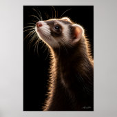 Eleganter Schalk Poster (Vorne)