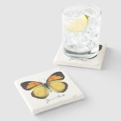 Eleganter Schmetterlings-kundenspezifischer Steinuntersetzer (Seitenansicht)