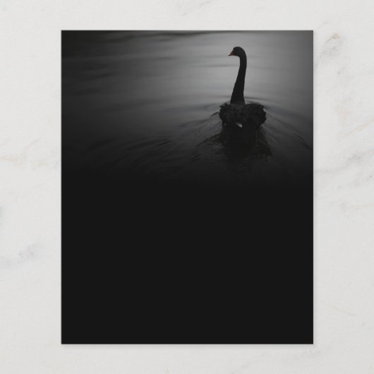 Eleganter schwimmender schwarzer Schwan Flyer (Vorne)