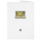 Eleganter SeeMuschel-Hochzeitskuchen (Hinten)