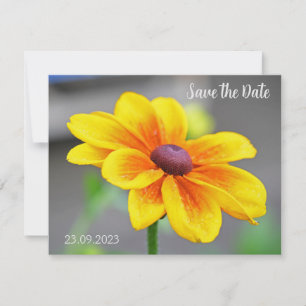 Eleganter Single Gelb Orange Dahlia Blume Gerettet Feiertagskarte