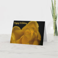 Eleganter Single Gelbe Rose Nah bis Geburtstag