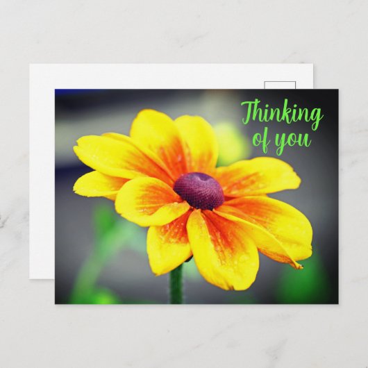 Eleganter Single GelbOrange Blume Denken Sie an Si Postkarte (Vorne/Hinten)