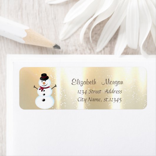 Eleganter, stilvoller Schneemann (Insitu)