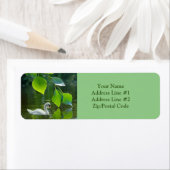 Eleganter Summer Swan (Insitu)