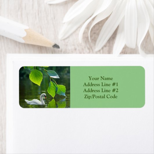 Eleganter Summer Swan (Insitu)