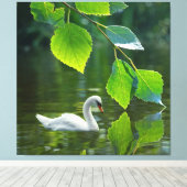 Eleganter Summer Swan Leinwanddruck (Insitu (Holzboden))