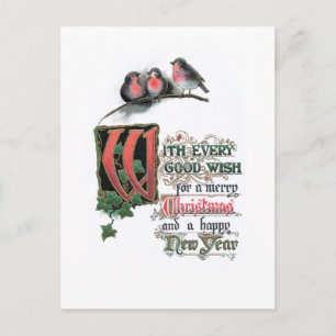 Eleganter Verzierter Weihnachtstext mit Robins & I Postkarte