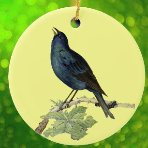 Eleganter Vintage Schwarzer Vogel Gelb Keramik Ornament