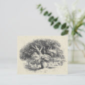 Eleganter Vintager Big Sycamore Tree Postkarte (Stehend Vorderseite)