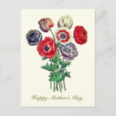 Eleganter Vintager Botanischer Mohnanemon Postkarte (Vorderseite)