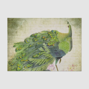 Eleganter Vintager grüner Pfau Seidenpapier