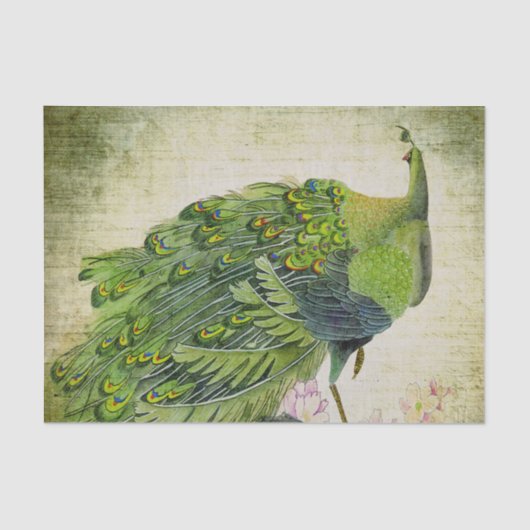 Eleganter Vintager grüner Pfau Seidenpapier (Vorderseite)