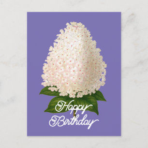 Eleganter Vintager Hydrangea Paniculata Geburtstag Postkarte
