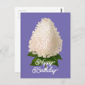 Eleganter Vintager Hydrangea Paniculata Geburtstag Postkarte (Vorne/Hinten)