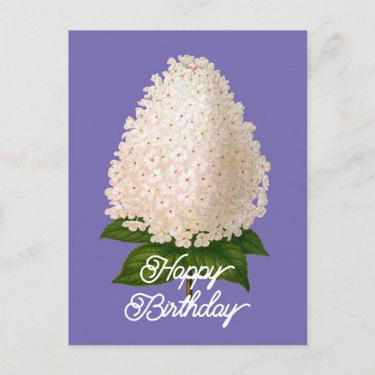 Eleganter Vintager Hydrangea Paniculata Geburtstag Postkarte (Vorderseite)