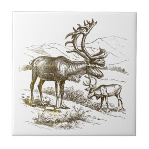 Eleganter Vintager Rentier Fliese
