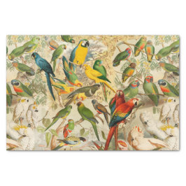 Eleganter Vintager tropischer Vogelparrots Regenwa Seidenpapier