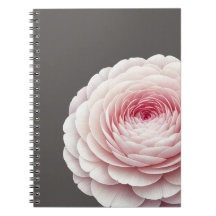 Eleganter warmer Holzkohle-Rosé-Blumen-Botanik