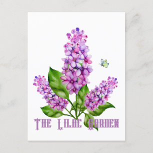 Eleganter Wasserfarbenlila-Zweig Postkarte