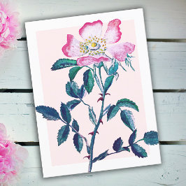Eleganter Watercolor Wilde Rose Blume Muttertag Postkarte