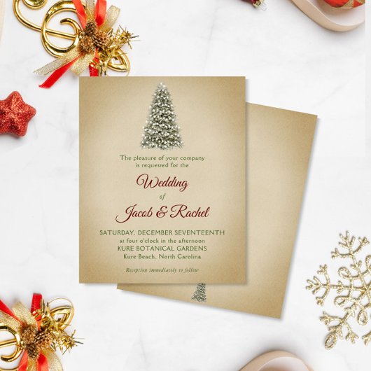 Eleganter Weihnachtsbaum Kraft Budget Hochzeit Ein