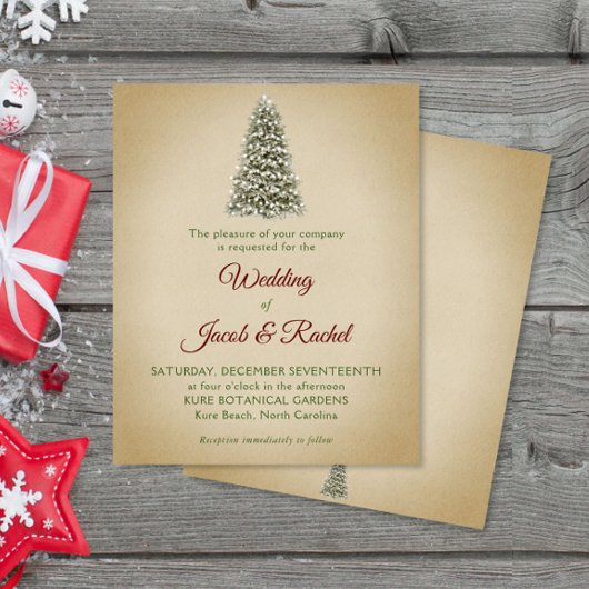 Eleganter Weihnachtsbaum Kraft Budget Hochzeit Ein