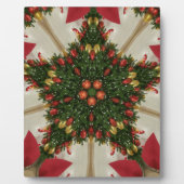 Eleganter Weihnachtskraut Rot Grün Kaleidoskopisch Fotoplatte (Vorderseite)