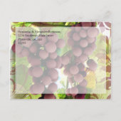 Eleganter Weinberg Lila/Grüne Trauben Save the Dat Ankündigungspostkarte (Rückseite)