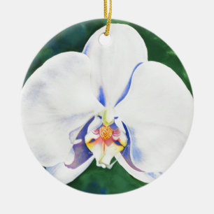 Eleganter weißer Aquarellorchid Keramik Ornament