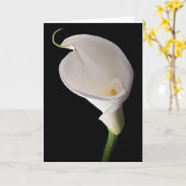Eleganter weißer Calla Karte (Gelbe Blume)
