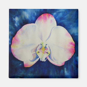 Eleganter, weißer Rosa, florale Orchidee Magnet