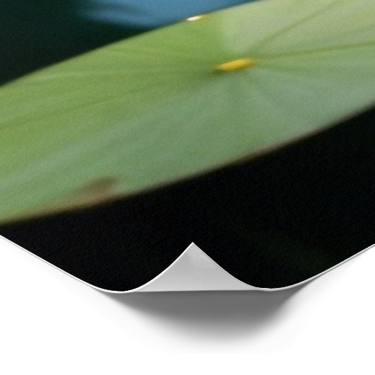 Eleganter weißer Schwan im Wald River Kunstdrucker Poster (Ecke)