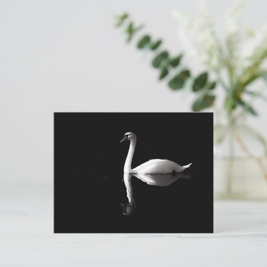 Eleganter weißer Schwan Reflektion am Schwarzen Se Postkarte (Stehend Vorderseite)