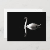 Eleganter weißer Schwan Reflektion am Schwarzen Se Postkarte (Vorne/Hinten)