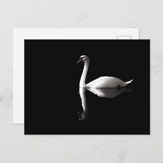 Eleganter weißer Schwan Reflektion am Schwarzen Se Postkarte (Vorne/Hinten)