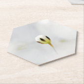 Eleganter White Blume Bud Paper Untersetzer (angewinkelt)