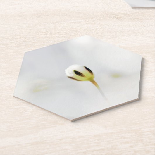 Eleganter White Blume Bud Paper Untersetzer (angewinkelt)