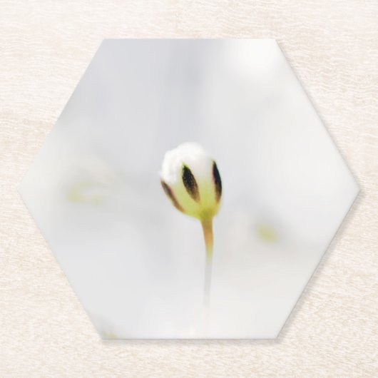 Eleganter White Blume Bud Paper Untersetzer (Vorderseite)