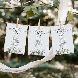 Eleganter Winter Hochzeitstisch-Seekarten Einladung