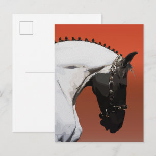 Elegantes Andalusisches Pferd – Majestätische Reit Postkarte