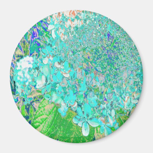 Elegantes Aqua und grünes Limelight Hydrangea Deta Magnet (Vorne)