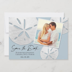Elegantes Beach Dusty Blue White Sand Dollars Foto Save The Date