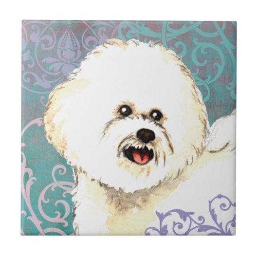 Elegantes Bichon Frise Fliese (Vorderseite)