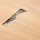 Elegantes Black Gold Agate Wedding Monogram Acryleinladungen (Ablage )