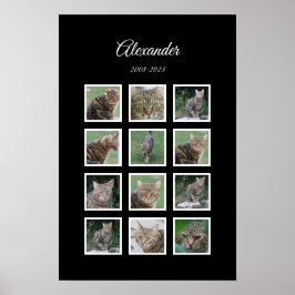 Elegantes Black Pet Poster mit 12 Foto Slots