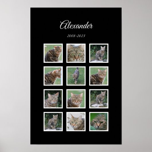 Elegantes Black Pet Poster mit 12 Foto Slots (Vorne)
