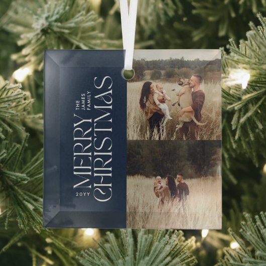 Elegantes blaues Blattwerk, modernes minimales Fot Ornament Aus Glas (Insitu)