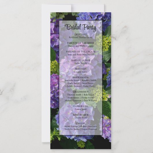 Elegantes blaues lila Magenta grünes Hydrangea (Rückseite)